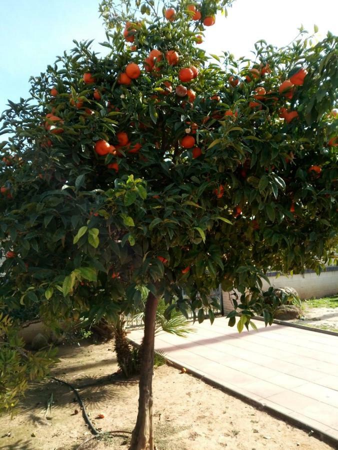 Cl Gravina 20 Apartman Grao de Castellon Kültér fotó